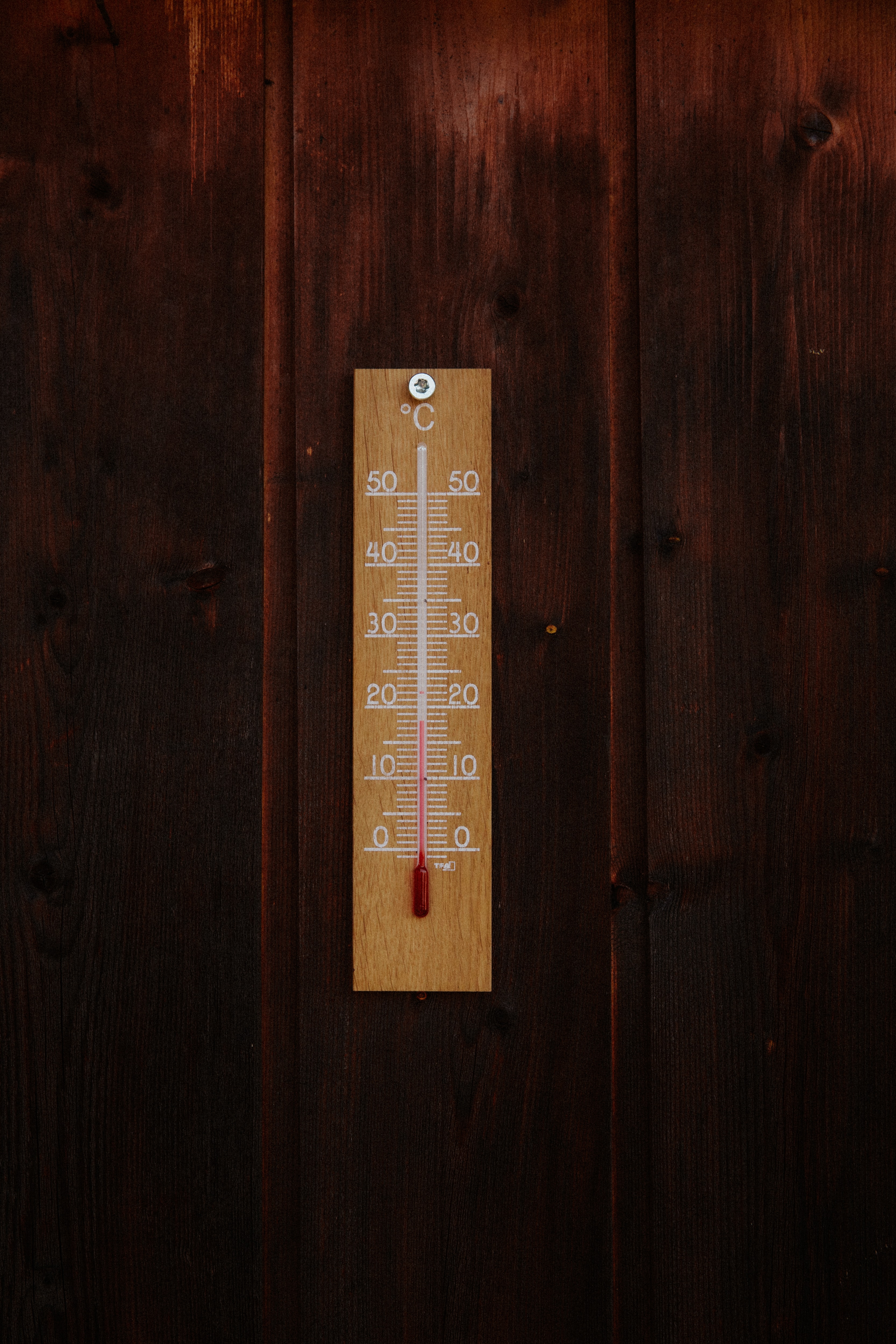 Thermometer - Photo by Bianca Ackermann on Unsplash