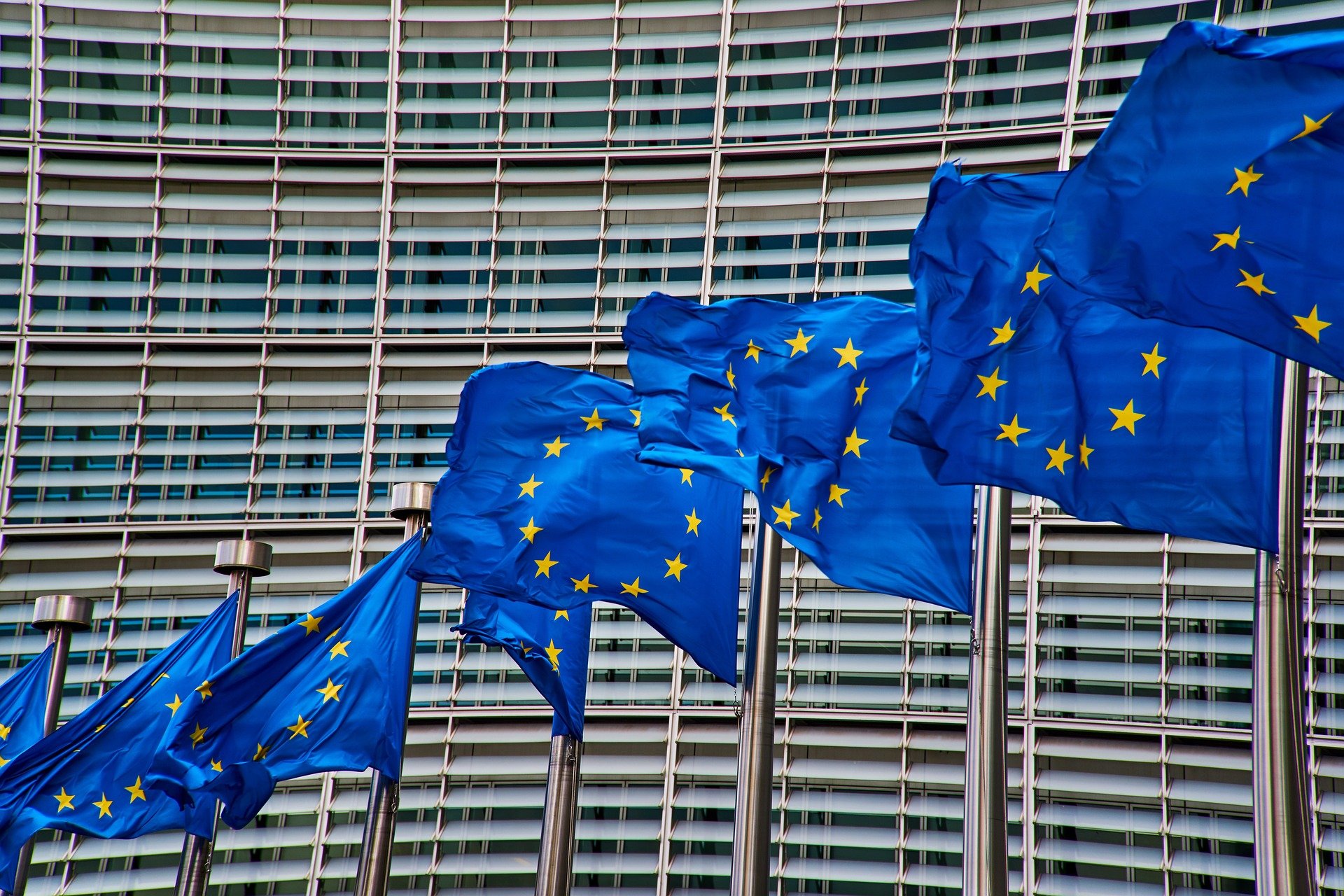 Several EU flags in front of a building in Brussels.