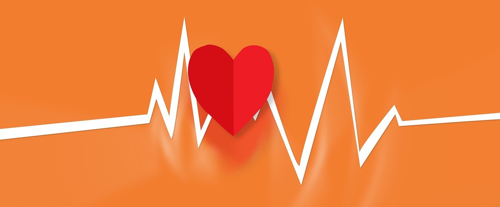 Illustration of a heart showing a ECG recording of heartbeats.