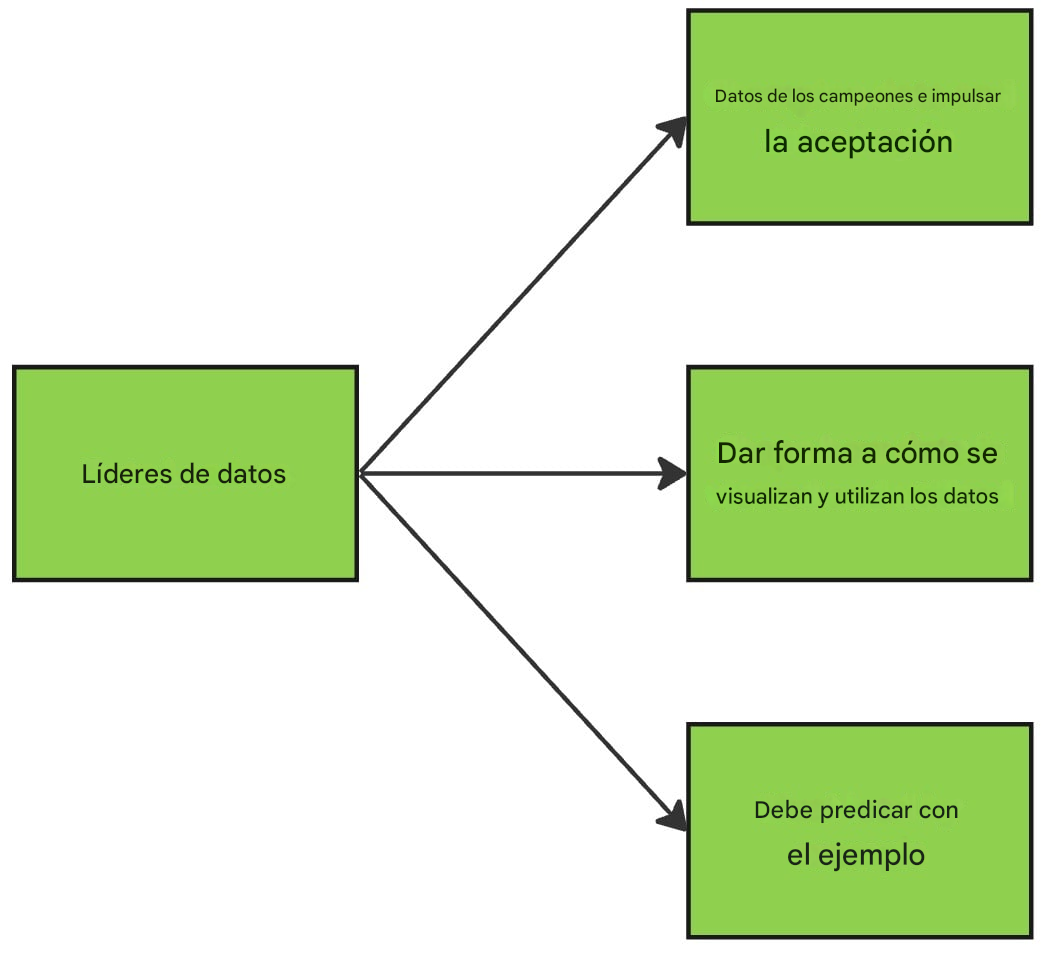 Diagrama que ilustra las funciones de los líderes de datos.