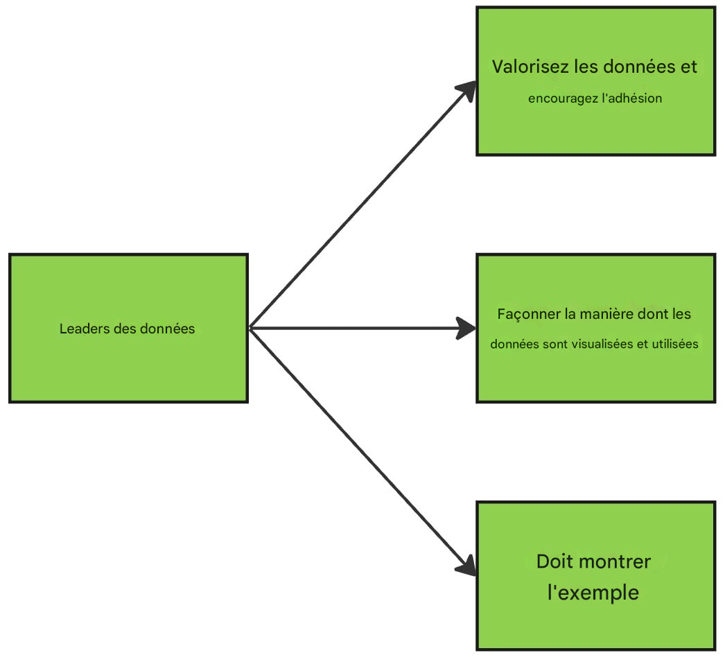 Diagramme illustrant les fonctions des leaders des données.