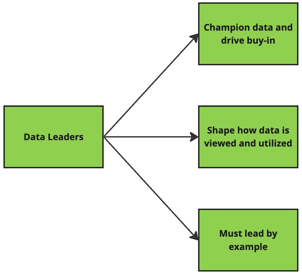 Diagram illustrating the duties of data leaders.