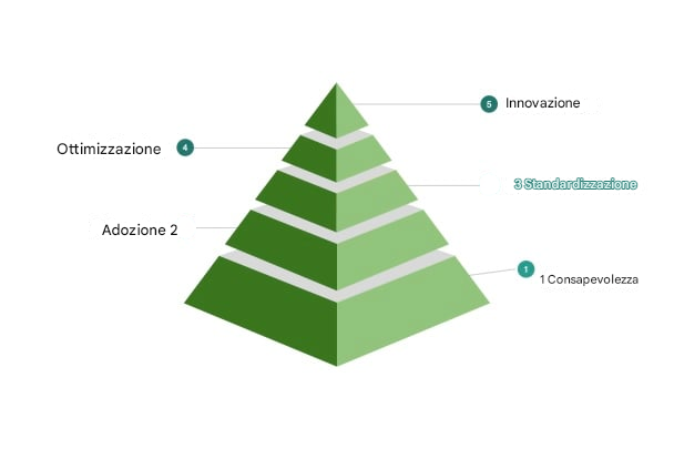 Il quinto livello del modello di maturità della cultura dei dati campione.