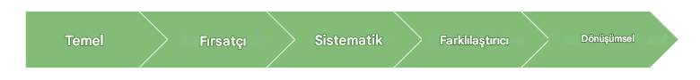 Gartner Veri Olgunluğu Modeli