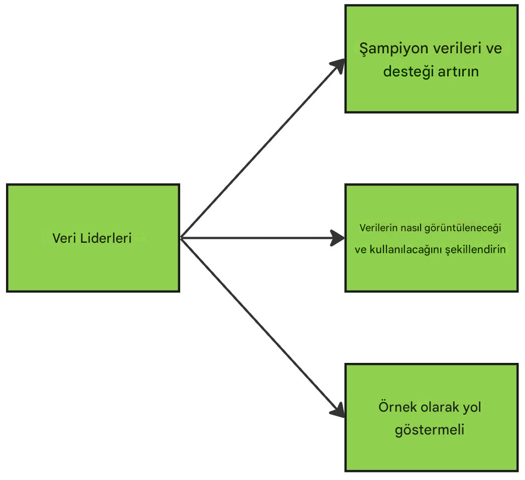 Veri liderlerinin görevlerini gösteren diyagram.