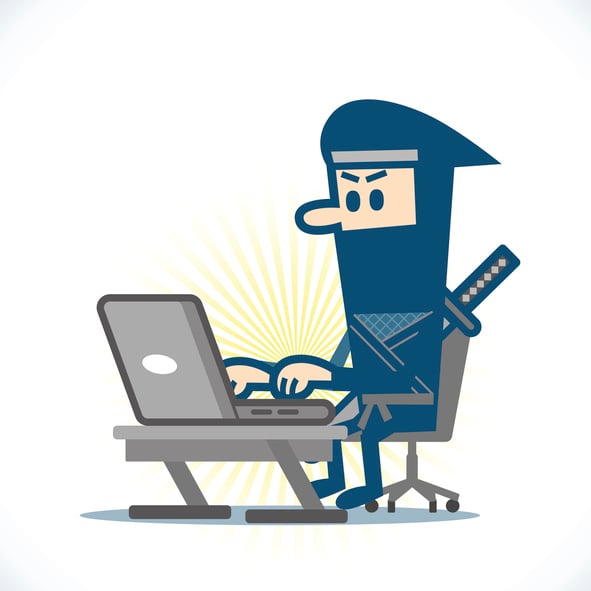 Data ninja