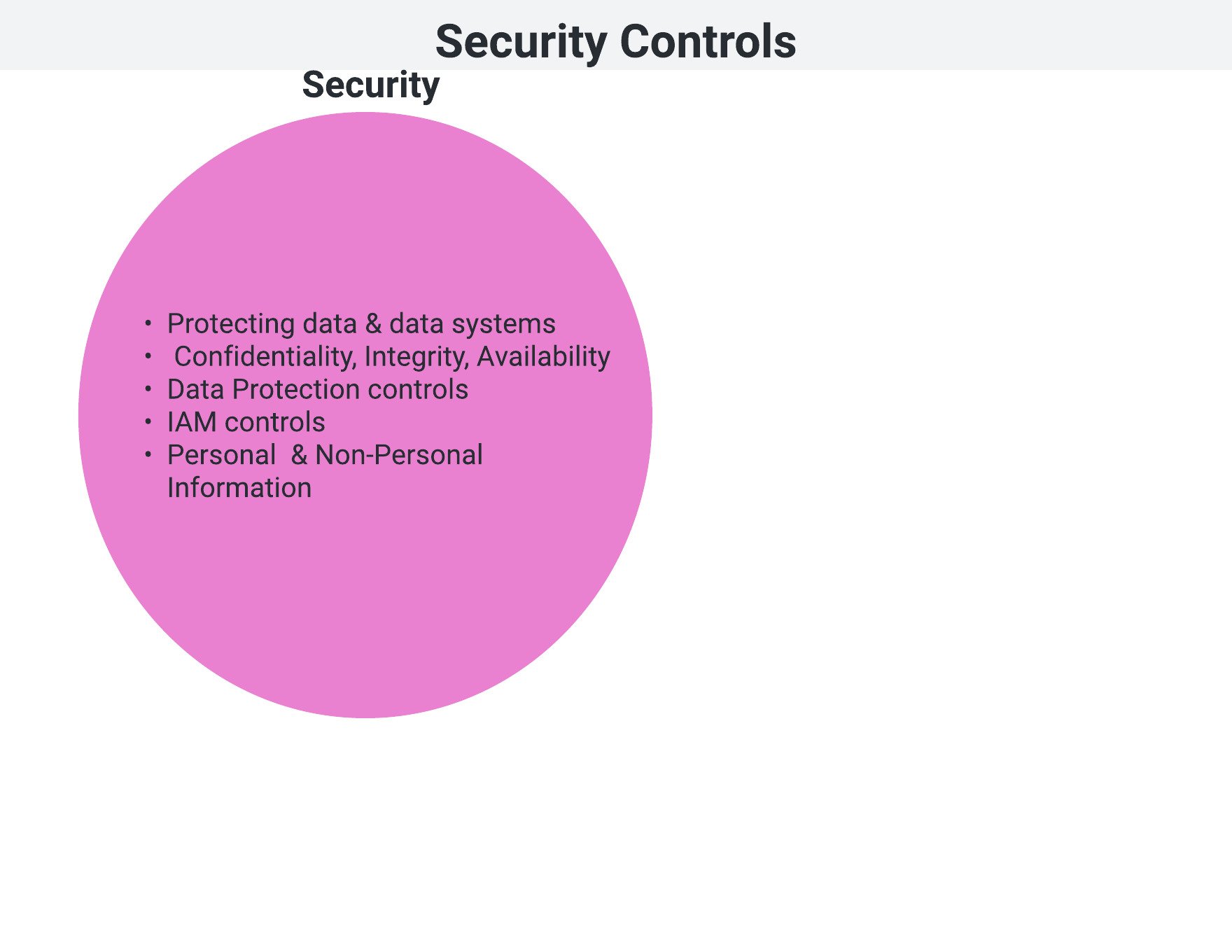 Security controls circle