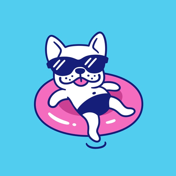 Trendy French bulldog