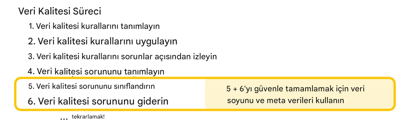 Önceliklendirme ve düzeltme adımlarını vurgulayan veri kalitesi süreci