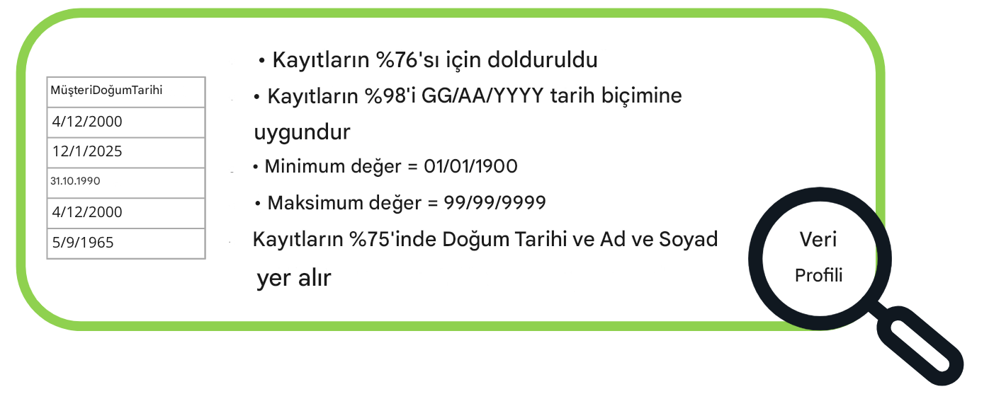 Veri profili örnekleri