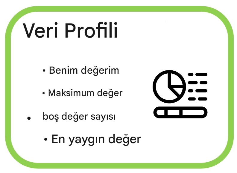 Veri profili örnekleri, minimum, maksimum, boş sayısı