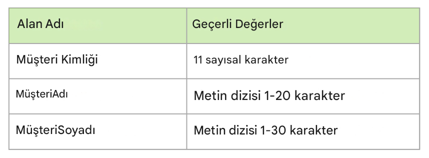 Veri profili örnekleri