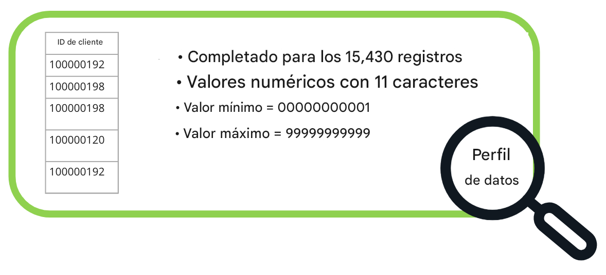 ejemplos de perfiles de datos