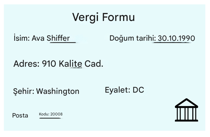 Doğruluk karşılaştırması için kullanılan vergi formu
