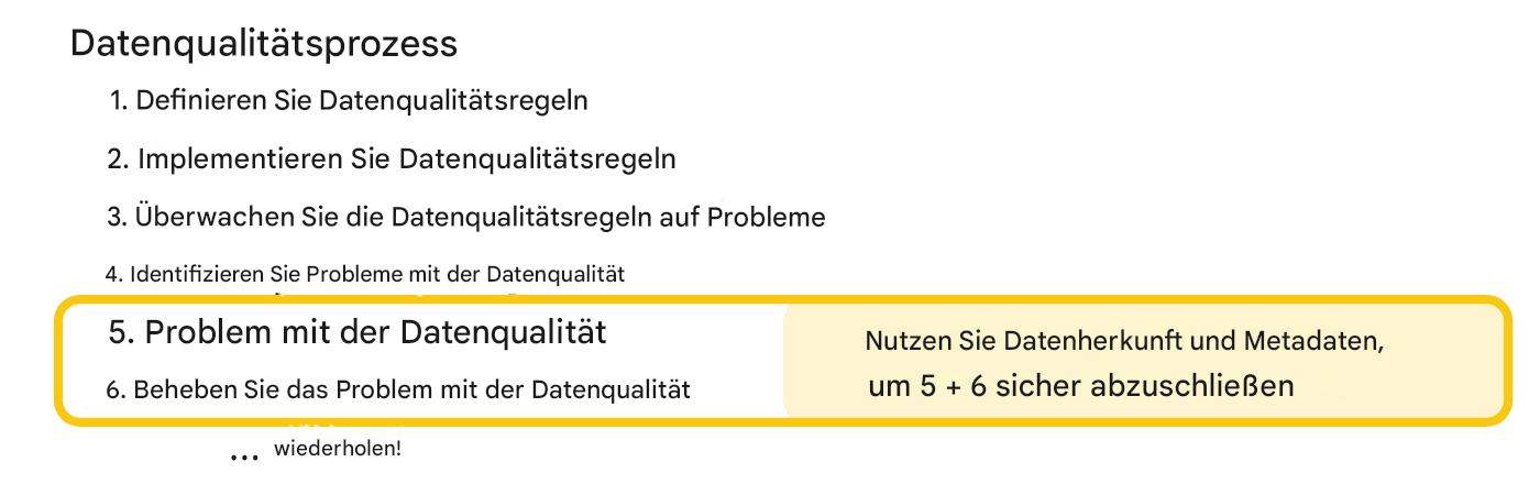 Datenqualitätsprozess mit den hervorgehobenen Schritten für Fehlersuche und -behebung