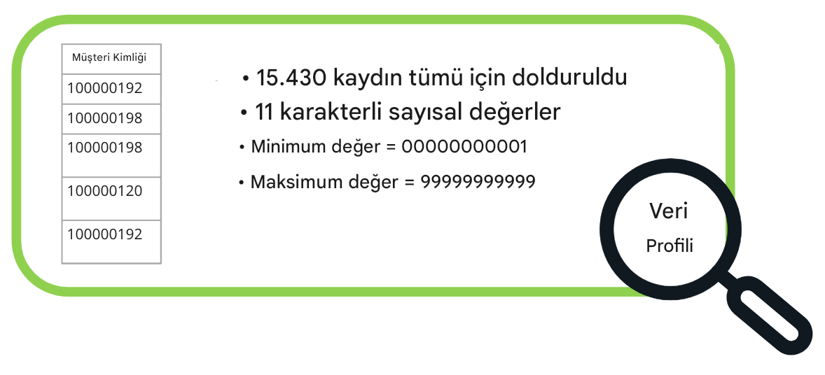 Veri profili örnekleri