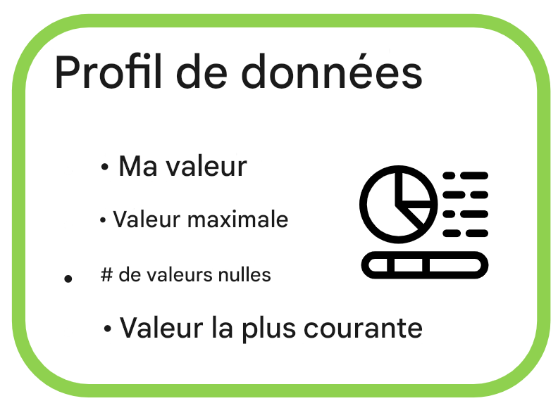 exemples de profil de données, min, max, et nombre de valeurs nulles