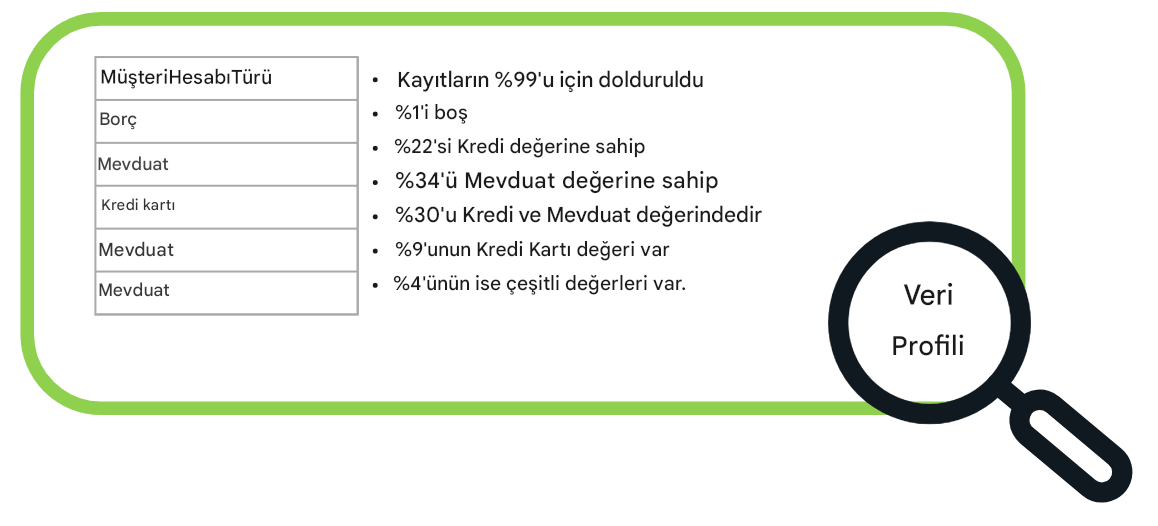 Veri profili örnekleri