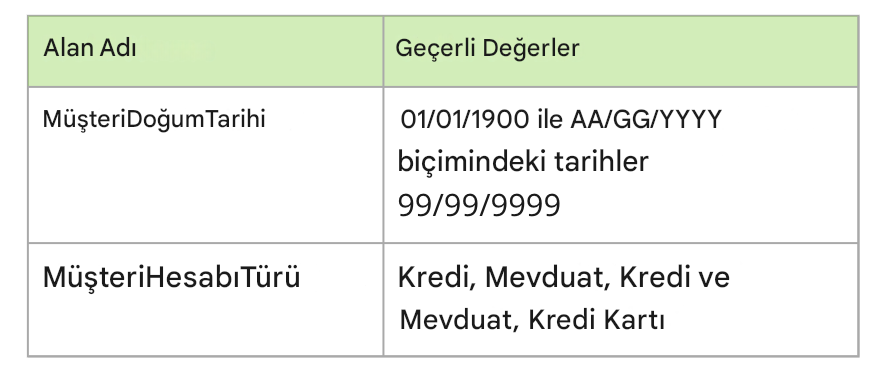Veri profili örnekleri