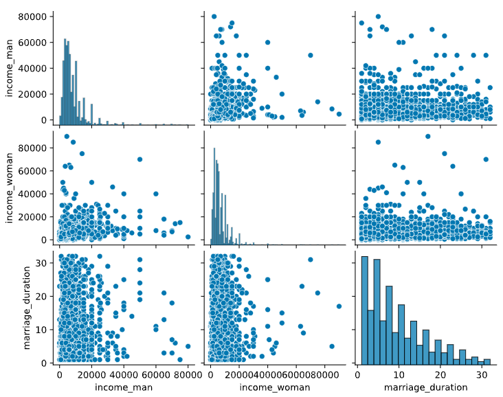 a pairplot of partner incomes and marriage duration
