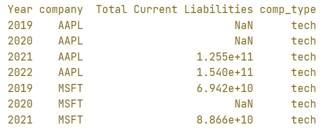 This image shows the top rows of a cash flow statement where some of the entries in the column total liabilities has missing values.