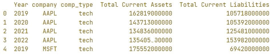A picture showing the top of the DataFrame called balance_sheet.