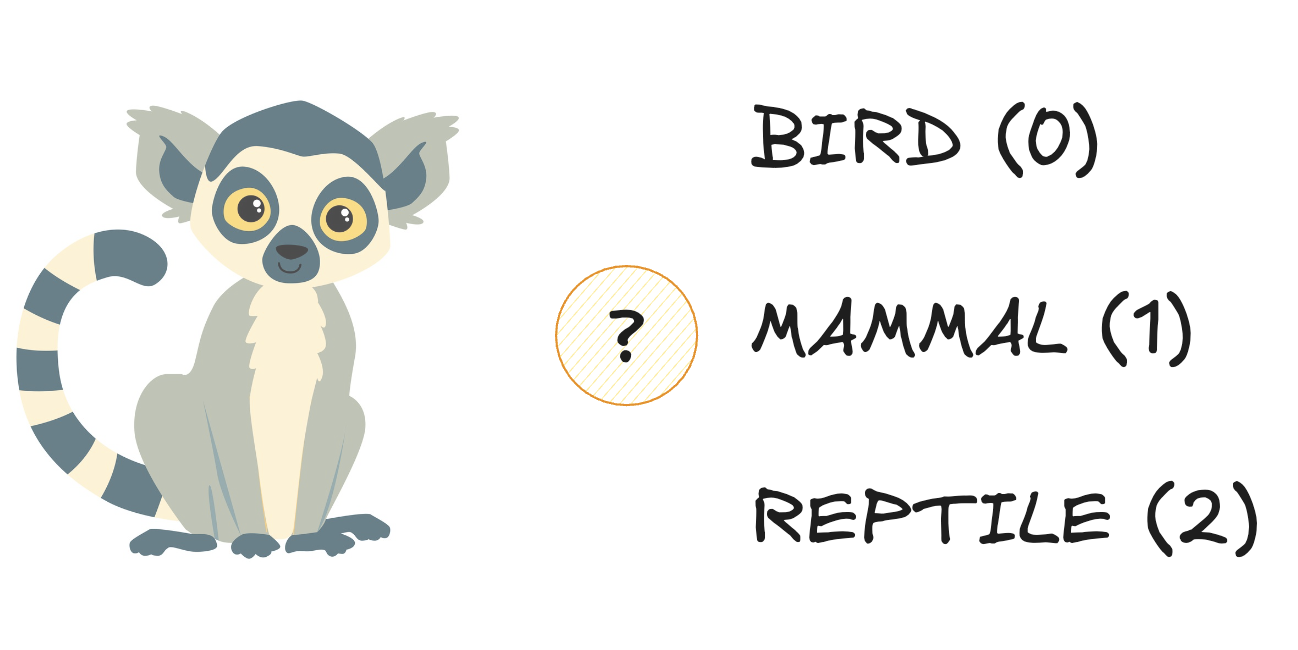 A lemur with three options: bird, mammal, or reptile