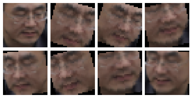 examples of data augmentation