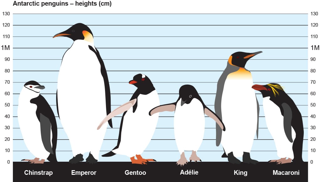 Penguin comparison