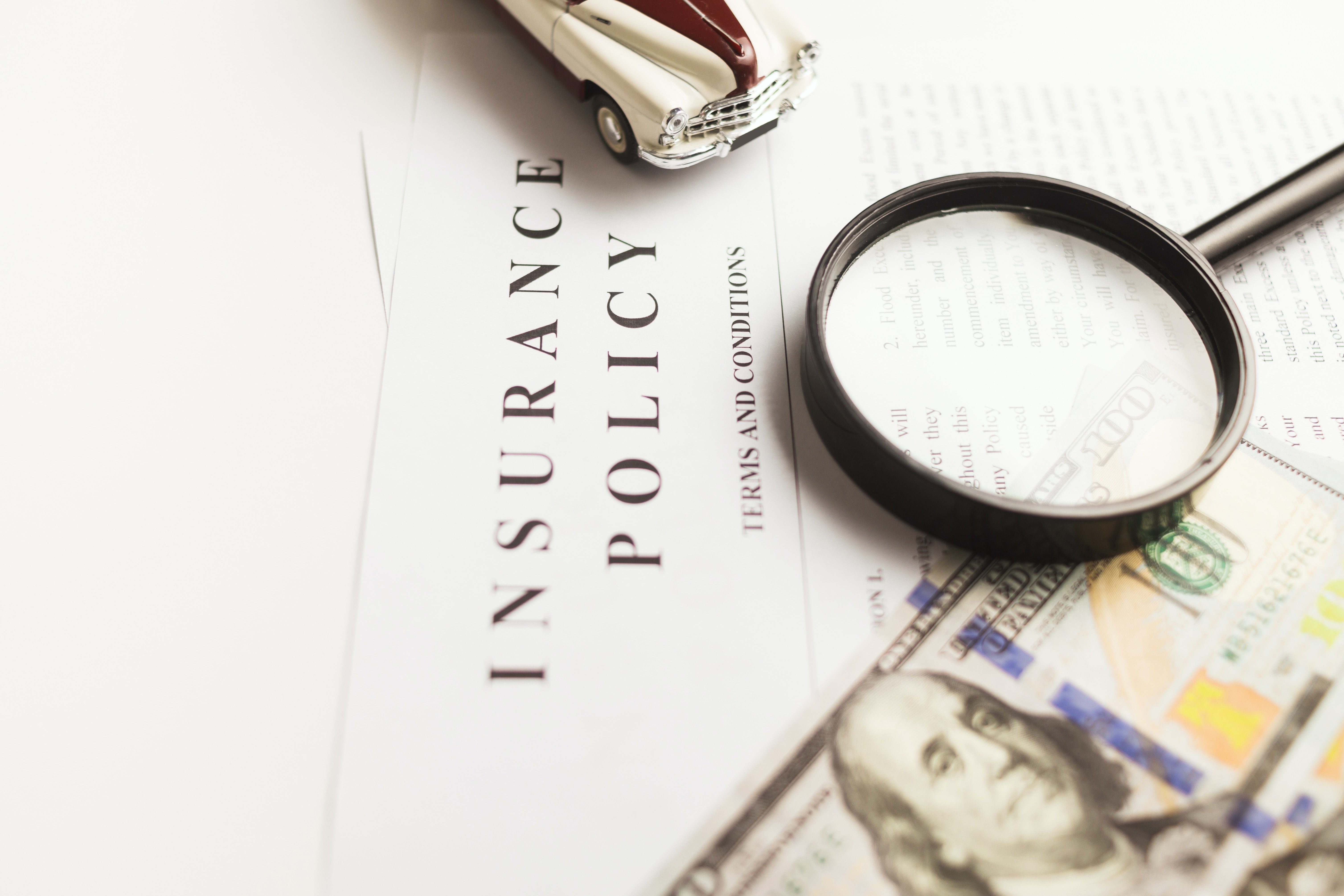 An image of insurance policy which relates to the insurance pricing case.