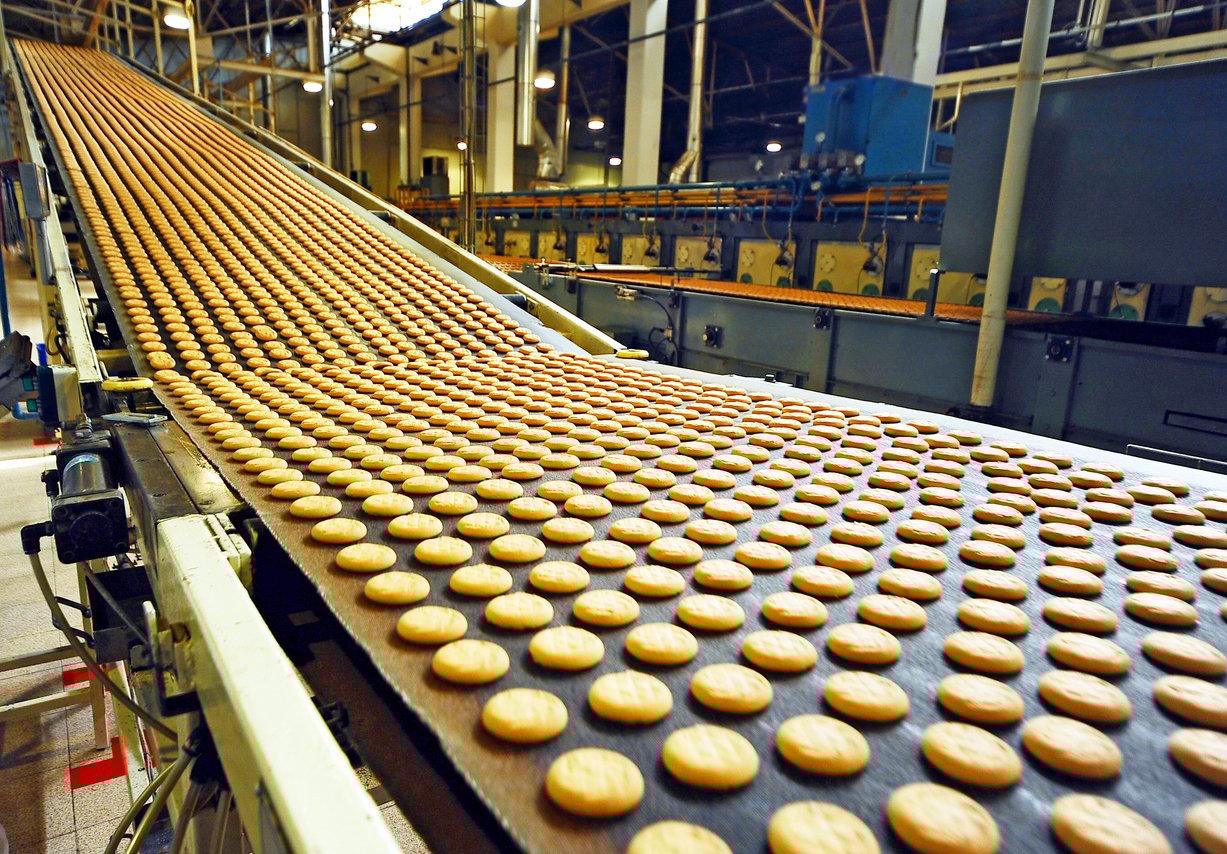 Biscuits on a production line.