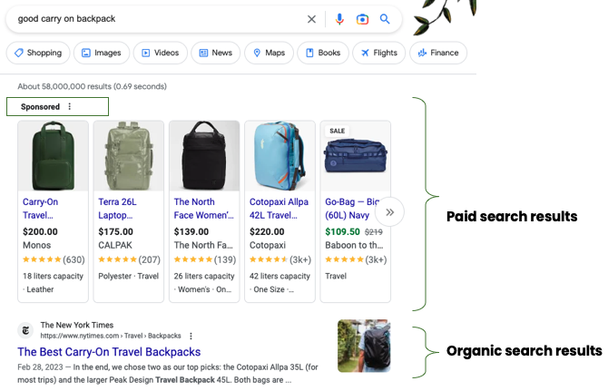 Organic vs. paid search