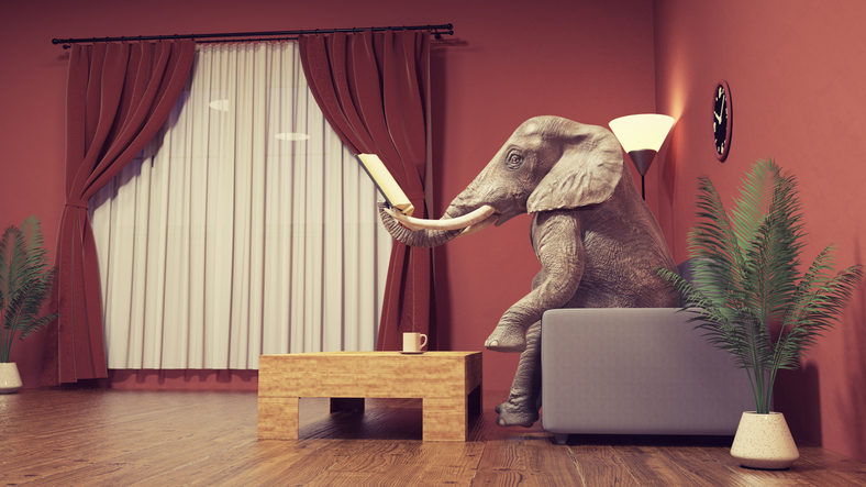 An elephant sitting in a chair with a coffee in a waiting room