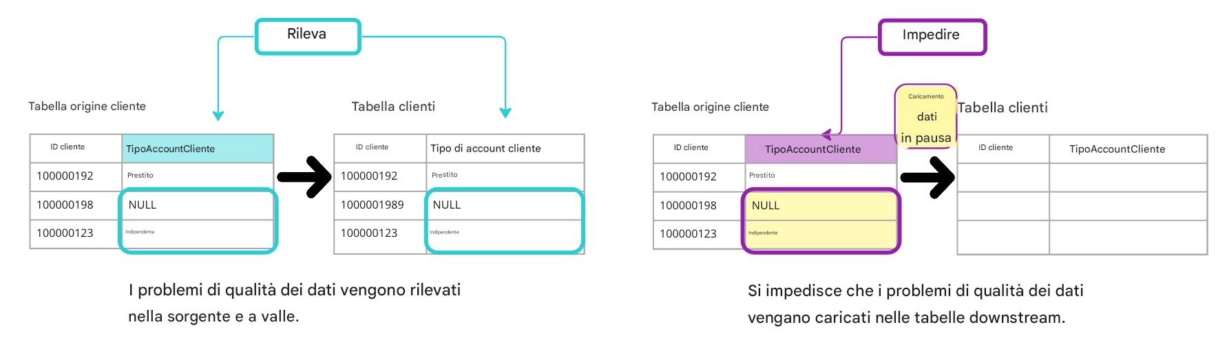 diagramma che illustra la differenza tra regole di qualità dei dati di tipo investigativo e preventivo
