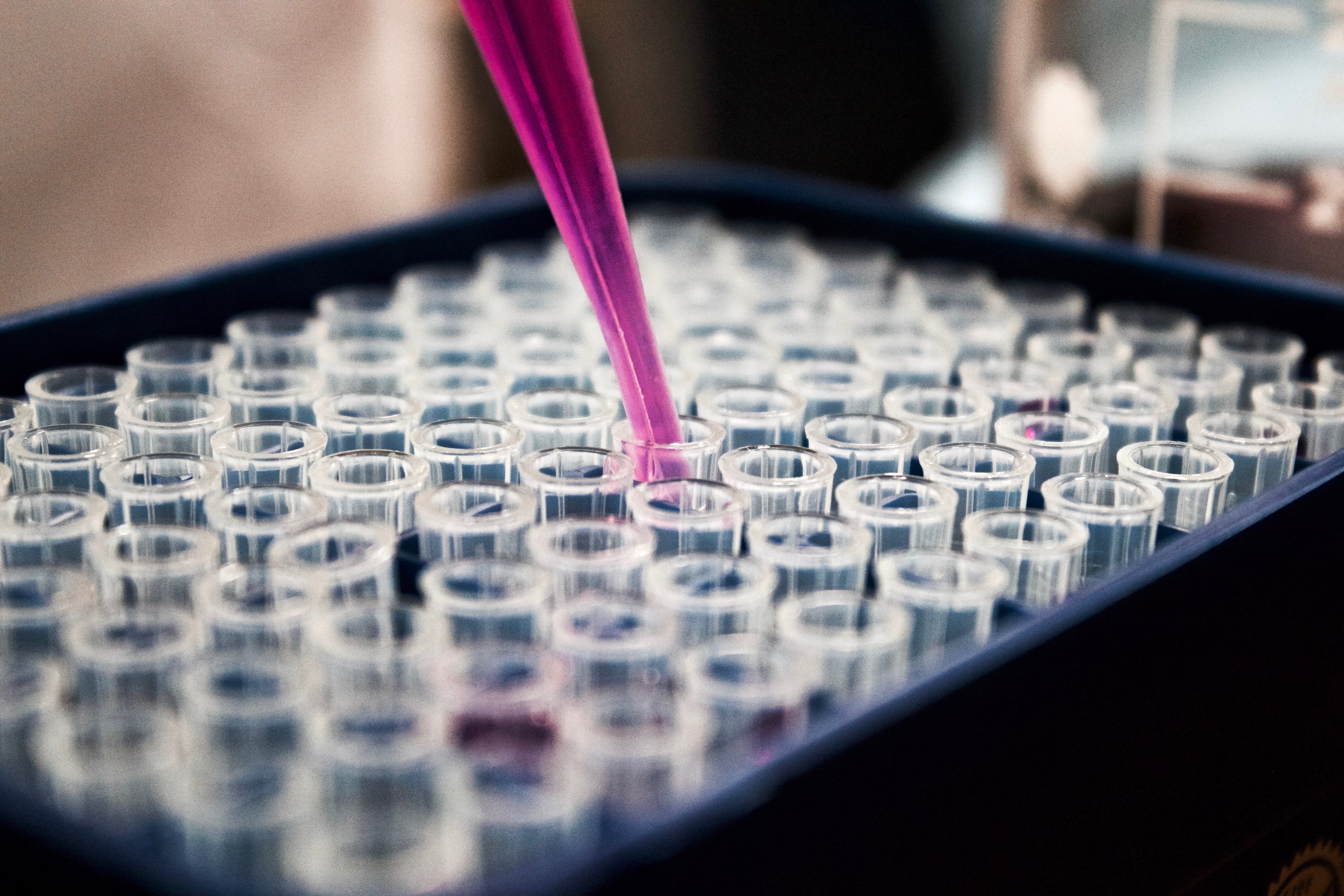 Foto von Röhrchen und einer rosafarbenen Pipette in einem pharmazeutischen Labor