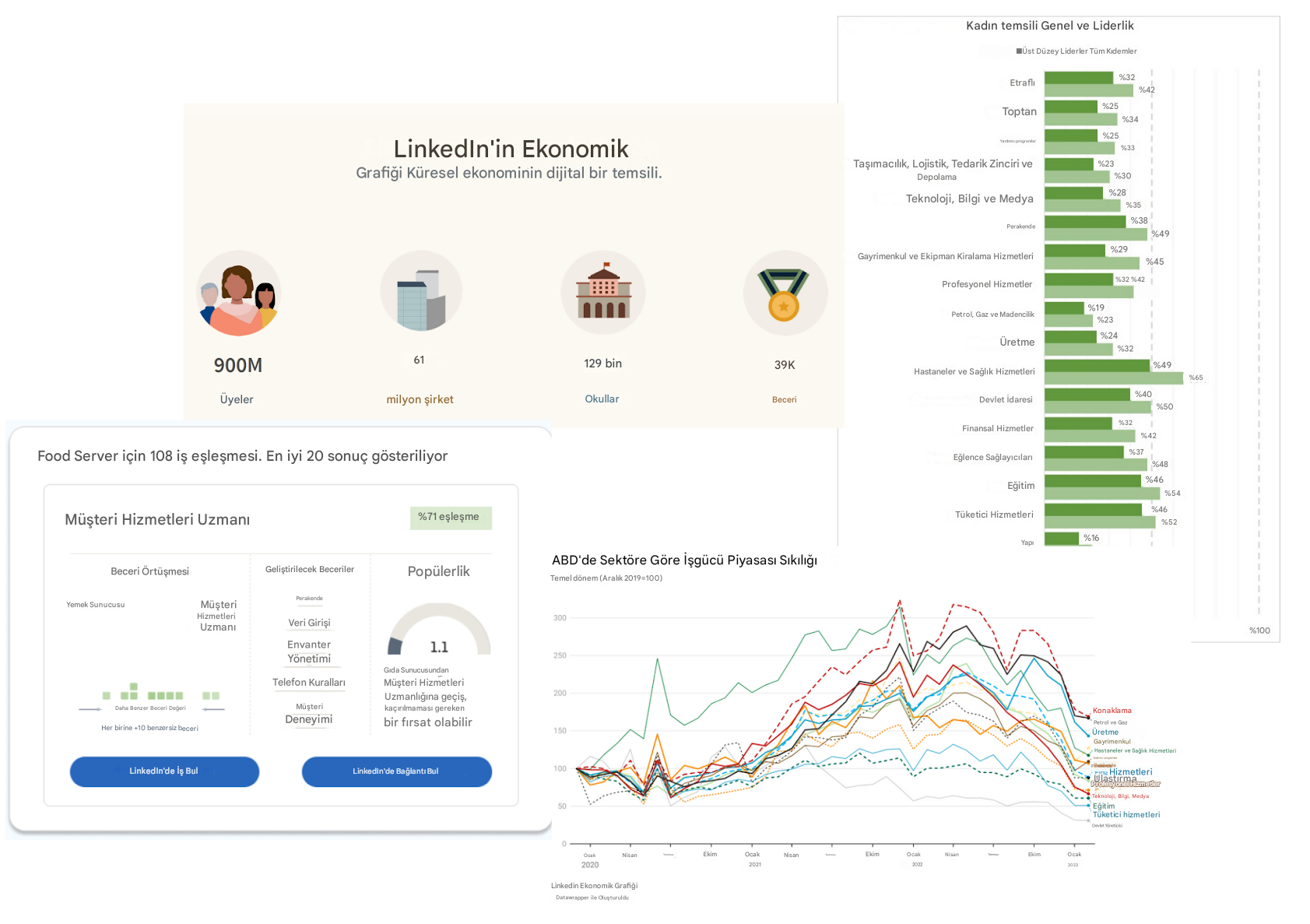 LinkedIn Economic Graph projesinin çeşitli özelliklerinin kolajı