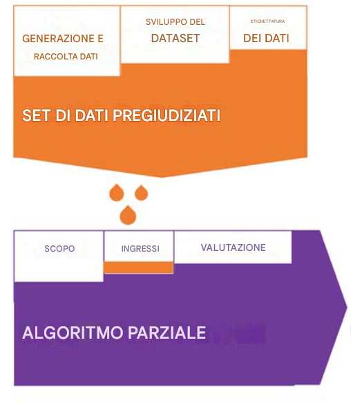 Immagine dei data bias nelle diverse fasi del ciclo di vita dei dati che alimentano gli algoritmi distorti