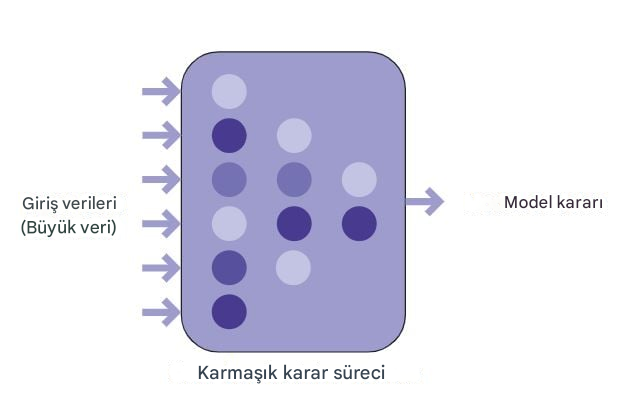Yapay zekanın veri girdisi ve model kararı ile gösterimi