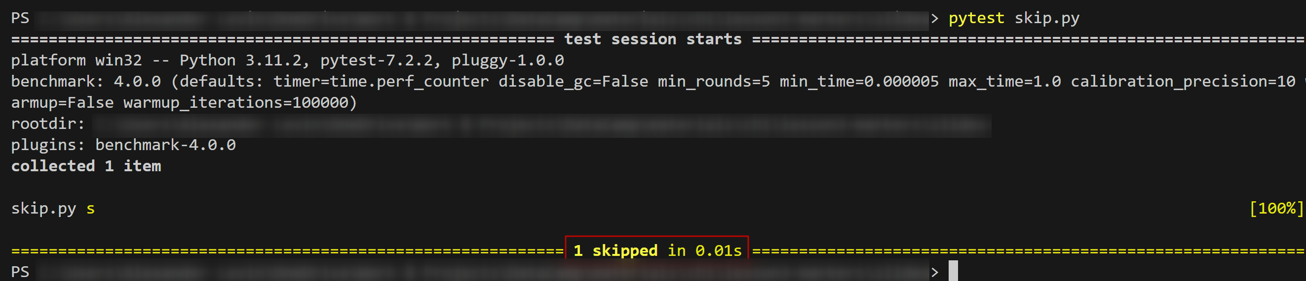 pytest.mark.skip example