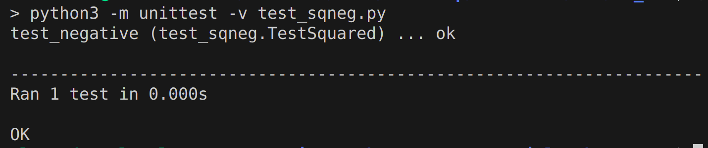 output unittest with a verbose flag