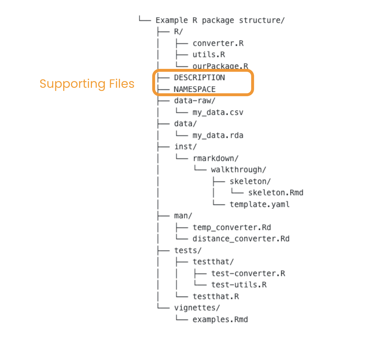 R package skeleton