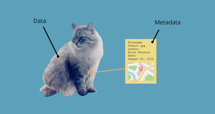 Cat photo metadata analogy