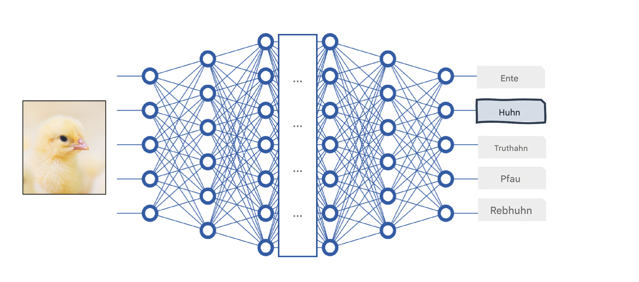 Tiefes neuronales Netz als Blackbox-Modell