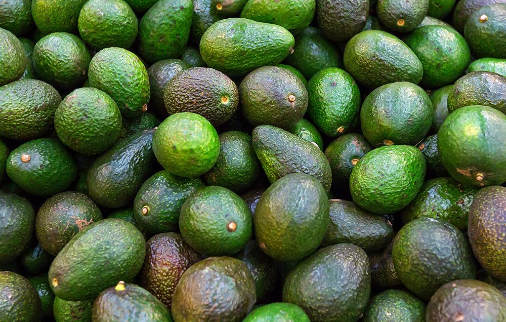 An image of avocados representing the Avocado dataset