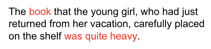 An example of long range dependency: "The book that the young girl, who had just returned from her vacation, carefully placed on the shelf was quite heavy."