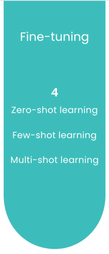 Fine tuning process