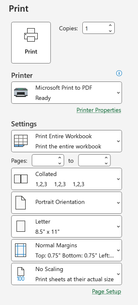 Print settings in Excel