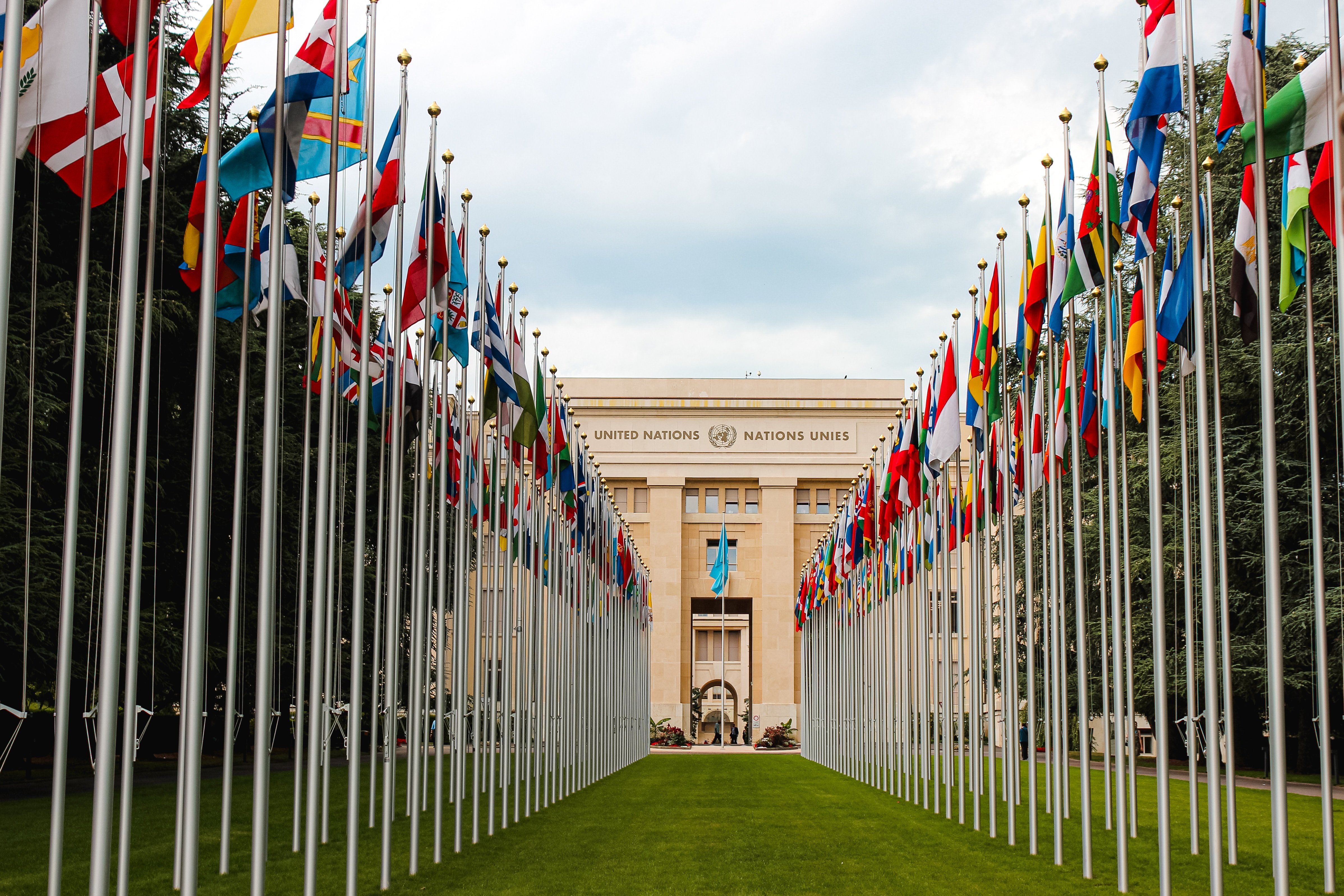 Many different international flags