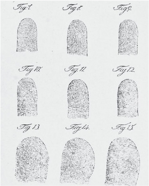 A series of fingerprints
