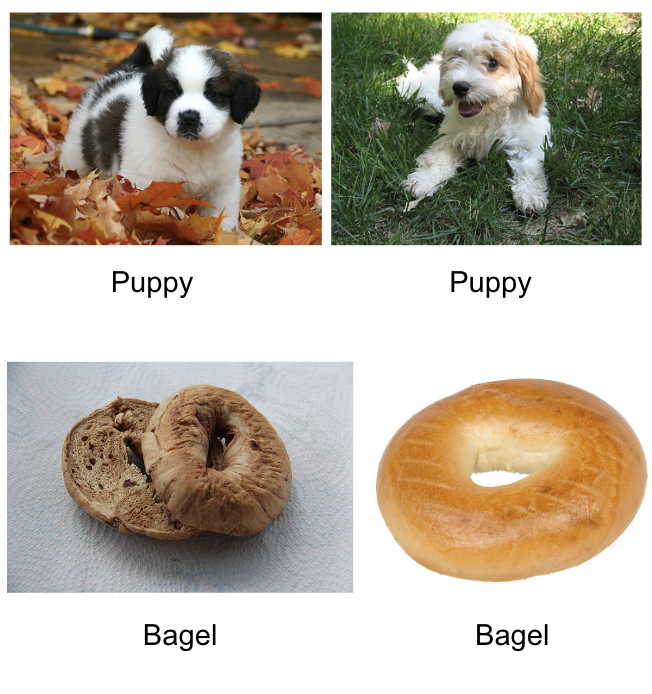Four labeled images, two images of puppies and two images of bagels